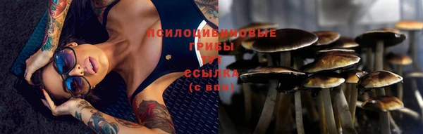а пвп мука Алзамай