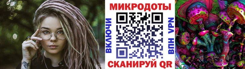Галлюциногенные грибы Psilocybe  hydra зеркало  Новоаннинский 